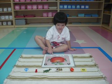 What are standard lessons in a Montessori curriculum?